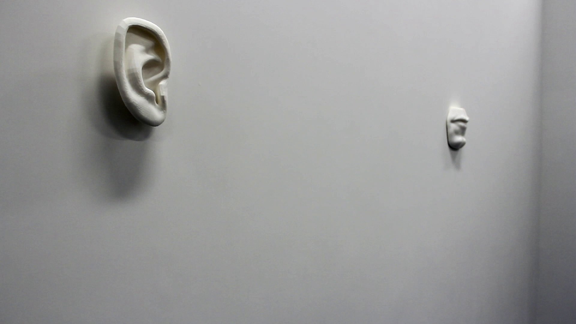 Ear and mouth sculptures mounted on a gallery wall