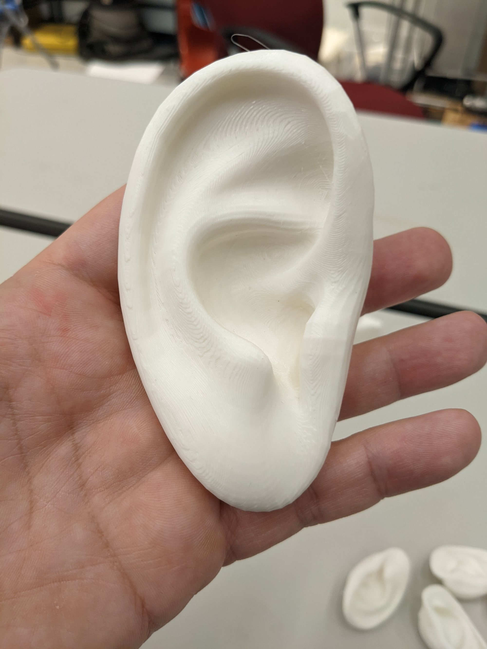3D-printed ear sculpture held in a hand