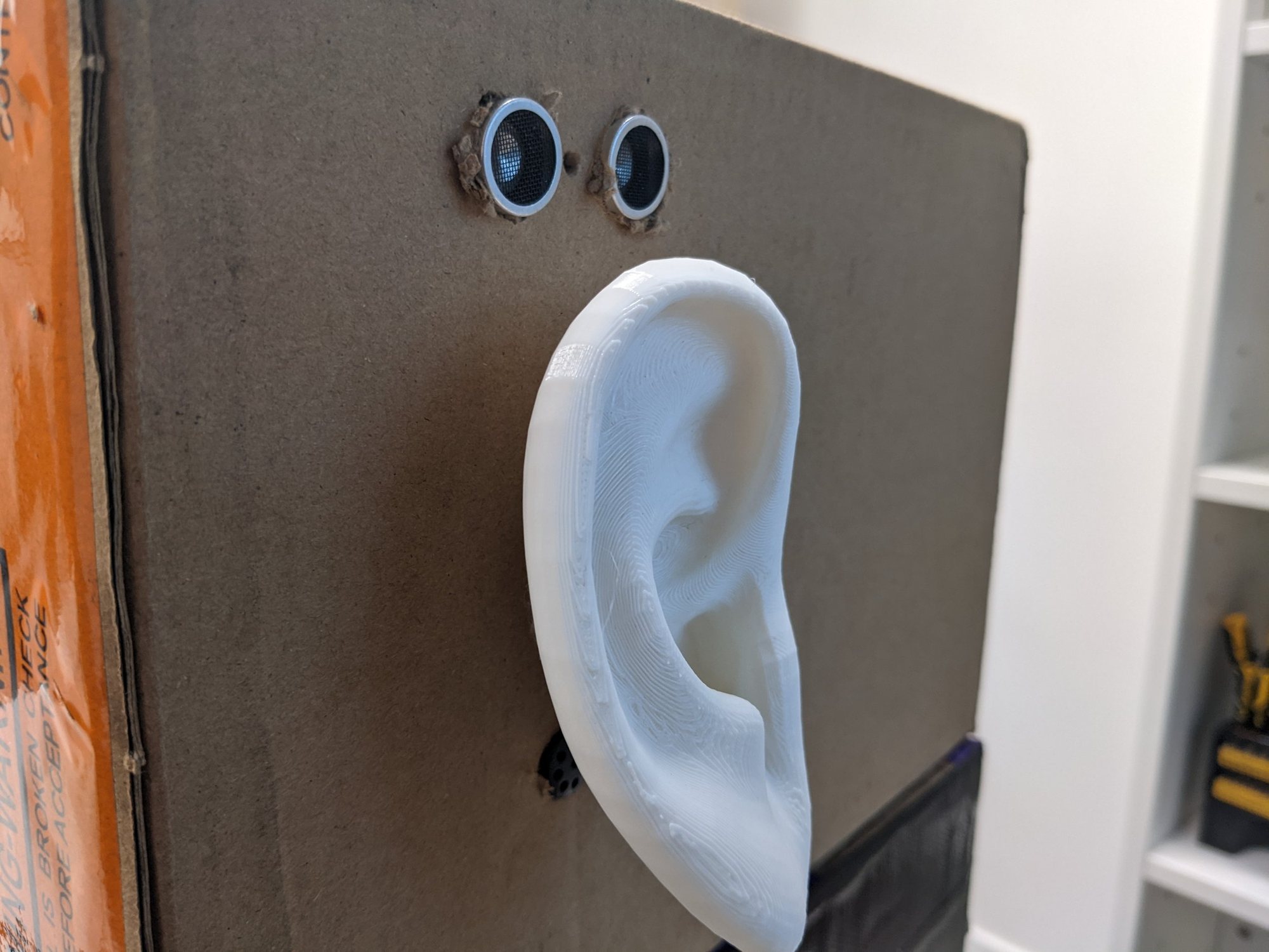Prototype ear sculpture with a camera mounted above it