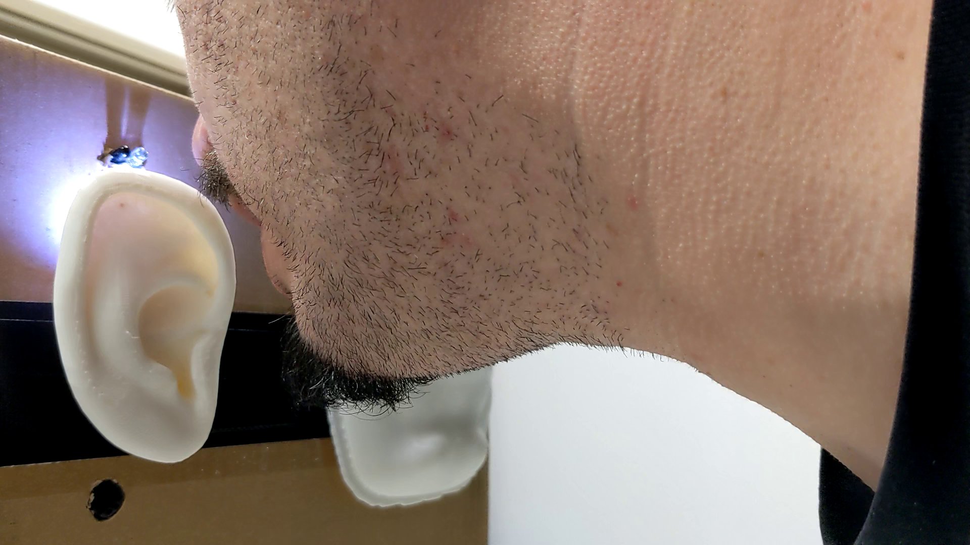 Close-up of a person speaking into the ear sculpture