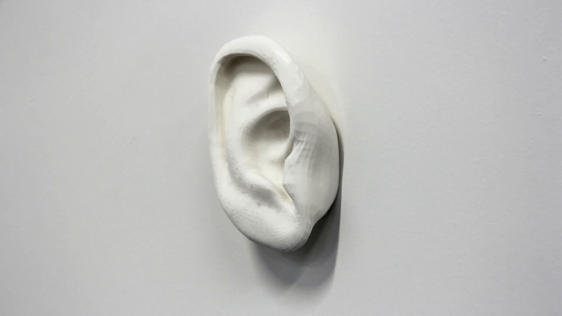 Close-up of a 3D-printed ear sculpture on a white wall