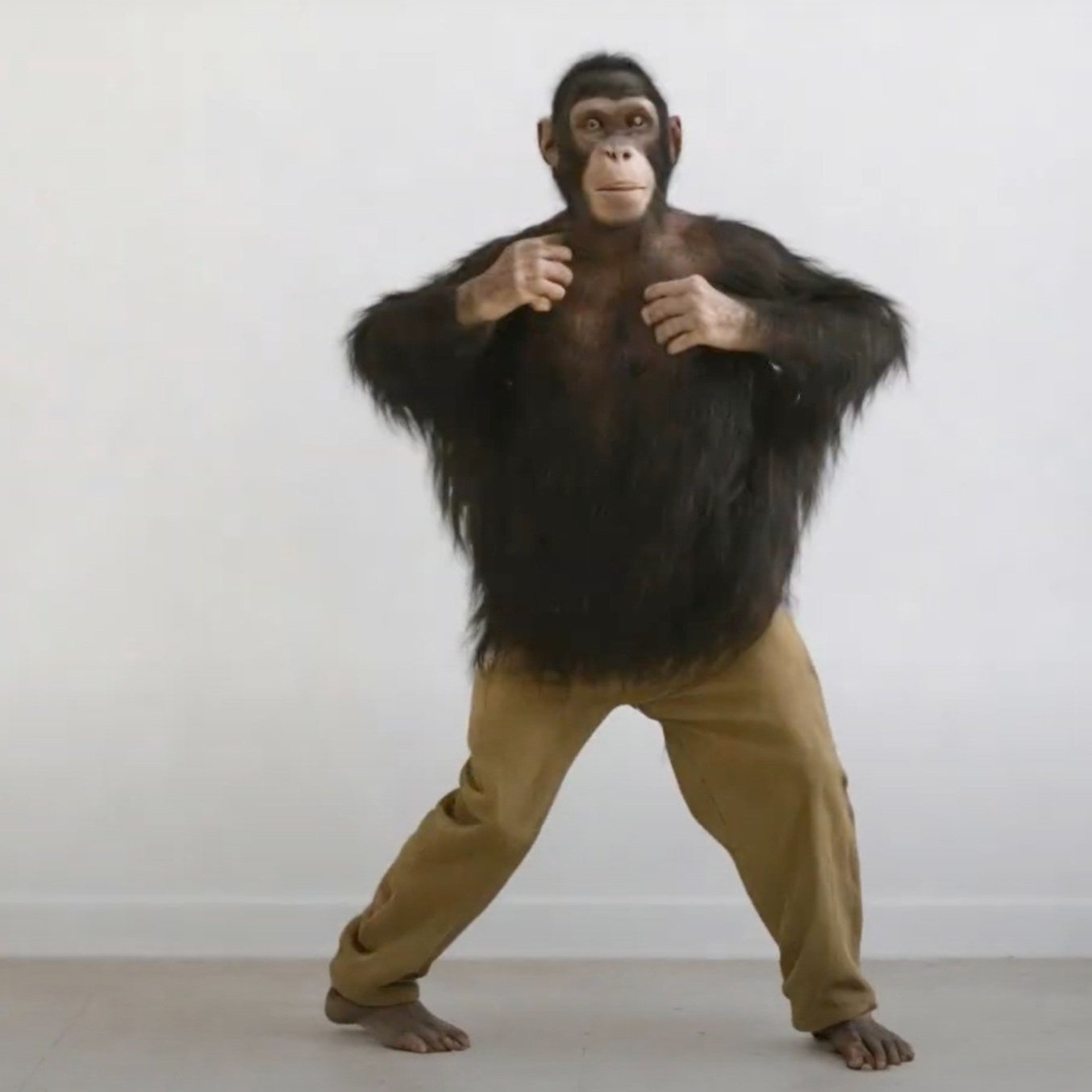 AI human transformations: a person transformed into a chimpanzee